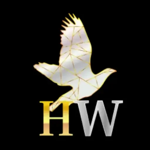 HIBIKIWIN - Aplikasi Les Online Terbaik untuk Belajar